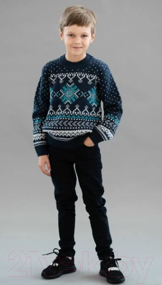 Изображение товара Джемпер детский Polesie 9С0053-Д43 (р.134,140-68, перламутровый ночной)