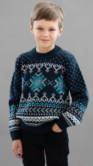 Изображение товара Джемпер детский Polesie 9С0053-Д43 (р.134,140-68, перламутровый ночной)