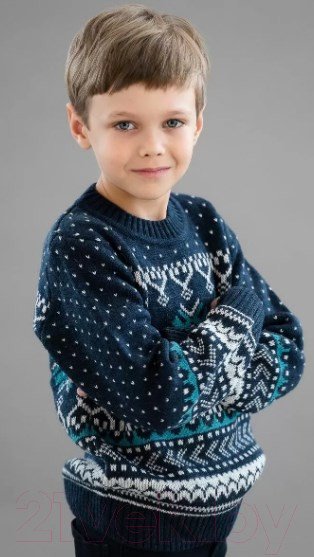 Изображение товара Джемпер детский Polesie 9С0053-Д43 (р.134,140-68, перламутровый ночной)