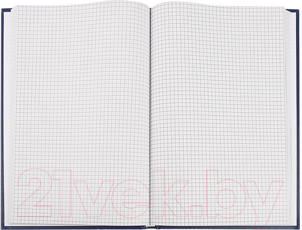 Изображение товара Книга учета inФормат KYA4-BV144K