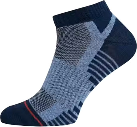 Изображение товара Носки Брестские 2335 рис. 413 (р.27, синий)