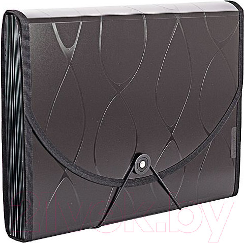 Изображение товара Папка для бумаг inФормат NL6970-12K (черный)