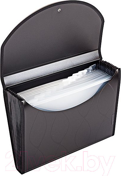 Изображение товара Папка для бумаг inФормат NL6970-12K (черный)