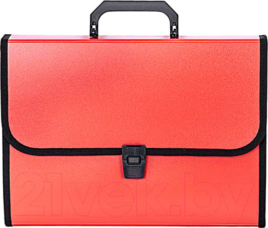 Изображение товара Папка-портфель inФормат NL6213D (бордовый)