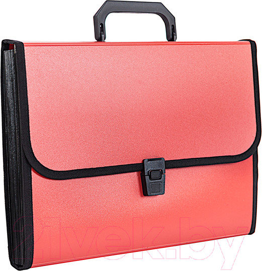 Изображение товара Папка-портфель inФормат NL6213D (бордовый)