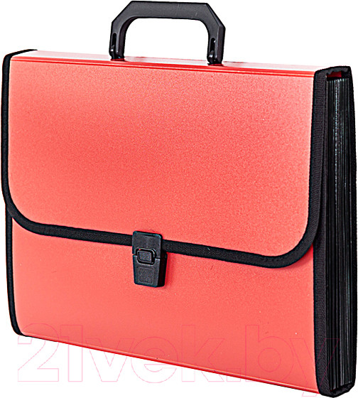 Изображение товара Папка-портфель inФормат NL6213D (бордовый)