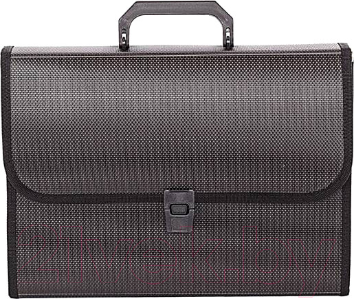 Изображение товара Папка-портфель inФормат NL6275-13 (черный)