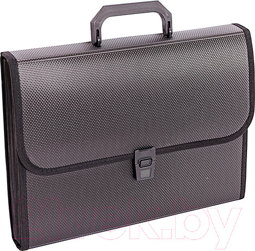 Изображение товара Папка-портфель inФормат NL6275-13 (черный)