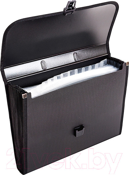 Изображение товара Папка-портфель inФормат NL6275-13 (черный)