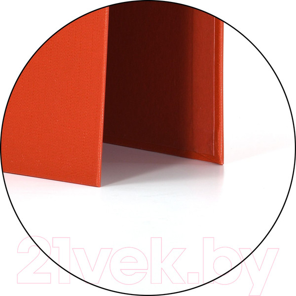 Изображение товара Папка-регистратор inФормат VP9080R