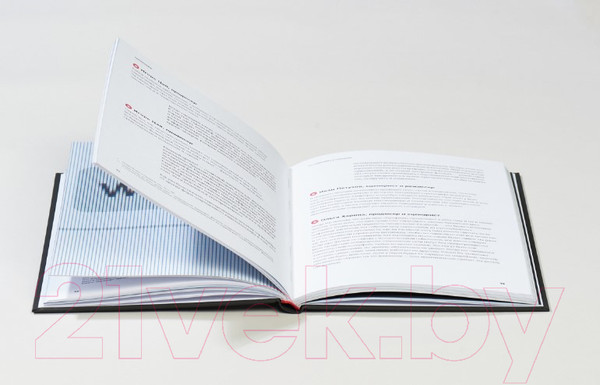 Изображение товара Книга Альпина Скринлайф. В поисках нового языка кино (Бекмамбетов Т., Шавловский К.)