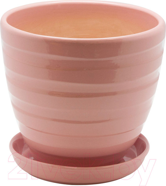 Изображение товара Вазон Вещицы BH-26-2 (коралловый)