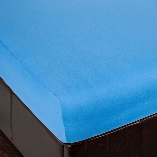 Изображение товара Простыня АртПостель На резинке Ирис 254 (160x200x20)