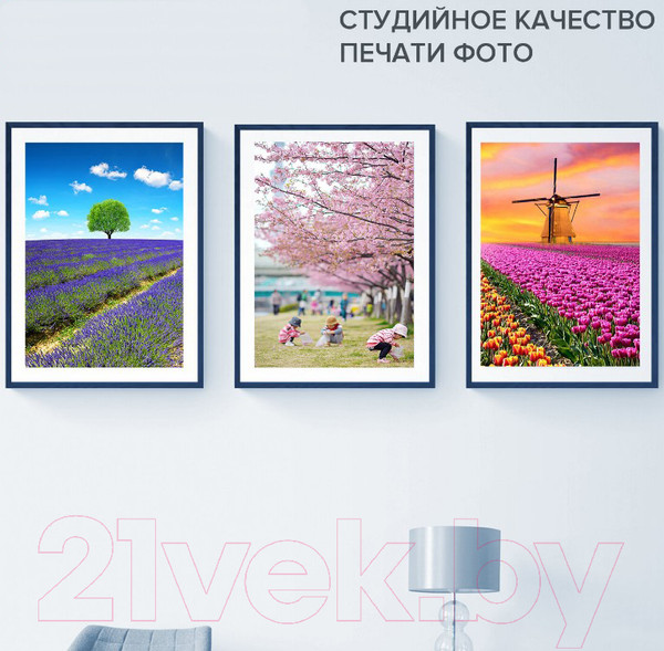 Изображение товара Фотобумага Brauberg Premium 260 г/м 10x15см 50л / 364001 (сатин)