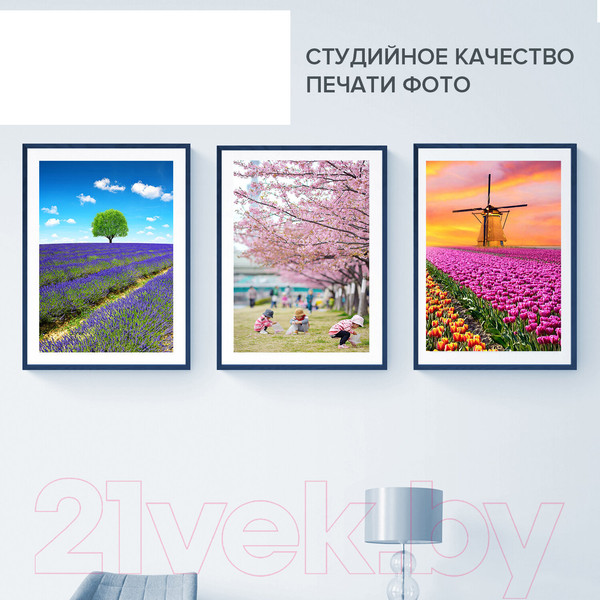 Изображение товара Фотобумага Brauberg Premium 260 г/м А4 20л / 364004 (суперглянцевая)