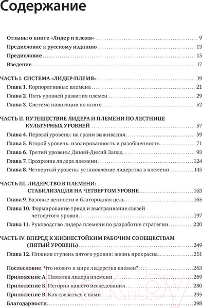 Изображение товара Книга МИФ Лидер и племя. Пять уровней корпоративной культуры (Логан Д., Кинг Дж.)