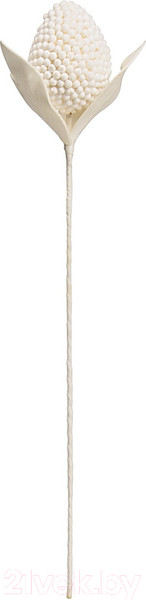 Изображение товара Искусственный цветок Вещицы Шишка зимняя aj-56