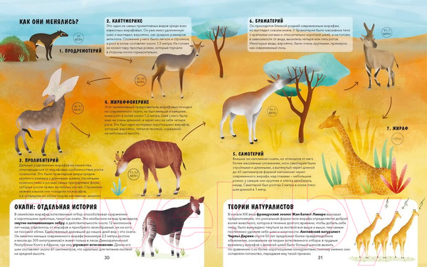 Изображение товара Энциклопедия МИФ Эволюция. Как изменилась жизнь за миллиарды лет (Рахван Д.)