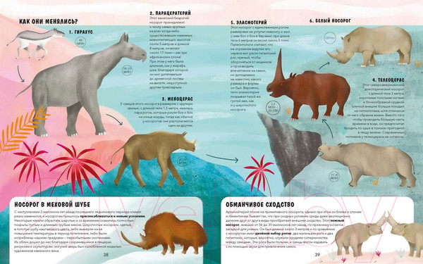 Изображение товара Энциклопедия МИФ Эволюция. Как изменилась жизнь за миллиарды лет (Рахван Д.)
