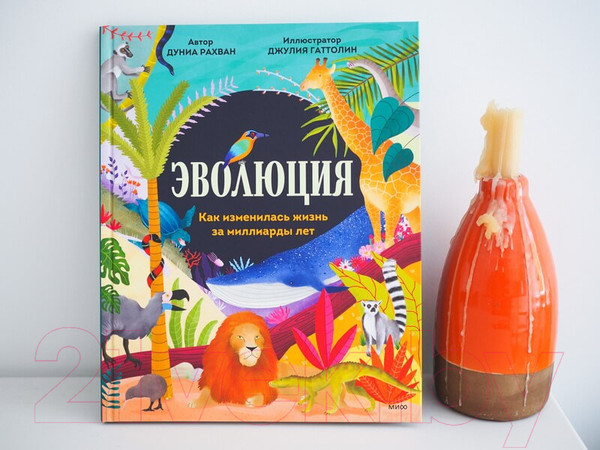 Изображение товара Энциклопедия МИФ Эволюция. Как изменилась жизнь за миллиарды лет (Рахван Д.)