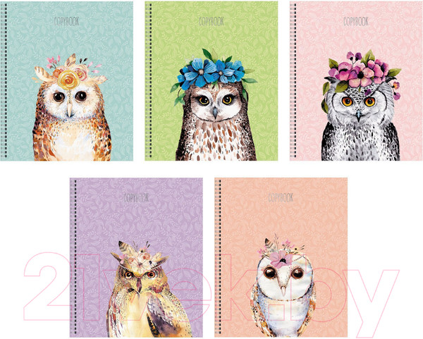 Изображение товара Тетрадь Listoff Нарядная сова ТСФ807719 (80л)