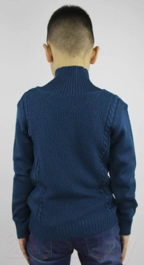 Изображение товара Джемпер детский Polesie 0С2134-Д43 (р.122,128-60, афродита)