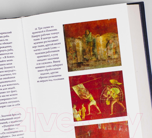 Изображение товара Книга Альпина SPQR: История Древнего Рима (Бирд М.)