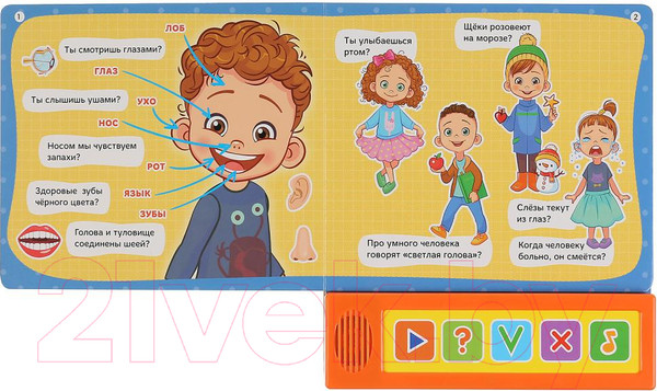 Изображение товара Музыкальная книга Умка Викторина. Тело человека