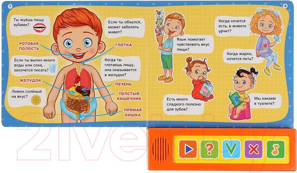 Изображение товара Музыкальная книга Умка Викторина. Тело человека