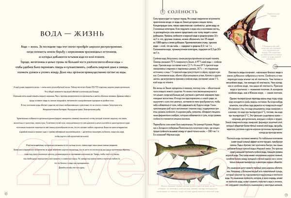 Изображение товара Энциклопедия АСТ Подводный мир (Кауфман А.)