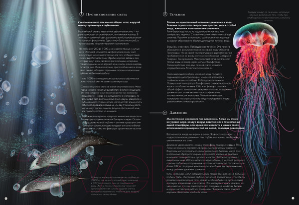 Изображение товара Энциклопедия АСТ Подводный мир (Кауфман А.)
