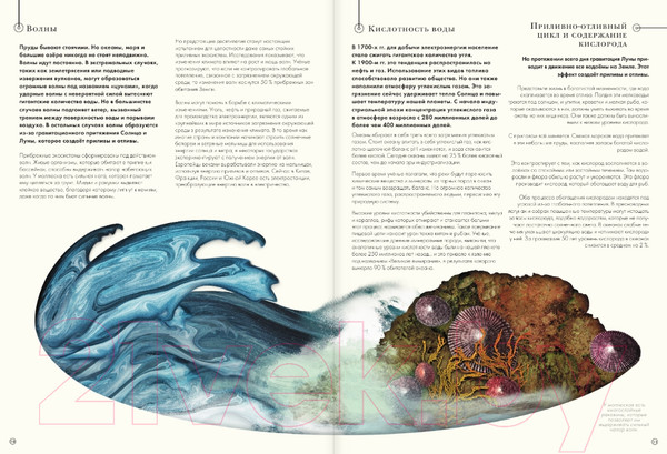 Изображение товара Энциклопедия АСТ Подводный мир (Кауфман А.)