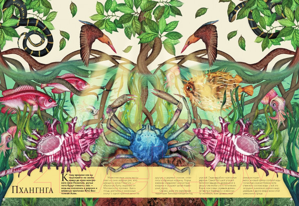 Изображение товара Энциклопедия АСТ Подводный мир (Кауфман А.)