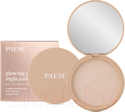 Изображение товара Пудра компактная Paese Glowing Powder тон 11 (10г)