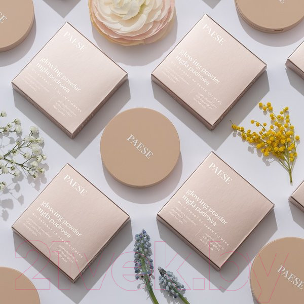 Изображение товара Пудра компактная Paese Glowing Powder тон 11 (10г)