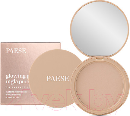 Изображение товара Пудра компактная Paese Glowing Powder тон 12 (10г)