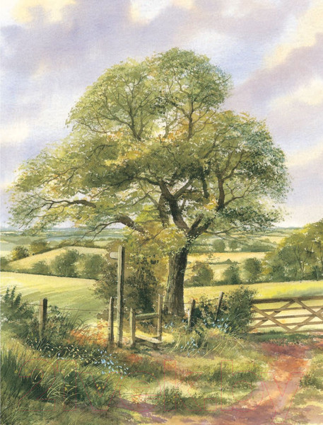 Изображение товара Книга Эксмо Пейзаж акварелью. Полный курс обучения (Харрисон Т.)