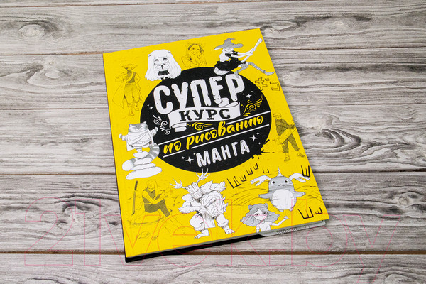 Изображение товара Книга АСТ Суперкурс по рисованию. Манга (Ратушняк Д.С.)