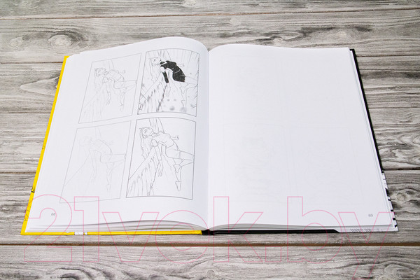 Изображение товара Книга АСТ Суперкурс по рисованию. Манга (Ратушняк Д.С.)