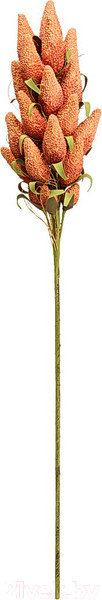 Изображение товара Искусственный цветок Вещицы Шишка осенняя aj-50