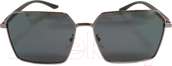 Изображение товара Очки солнцезащитные JBL Polarized 918 (серый/черный)