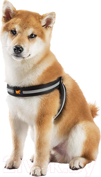 Изображение товара Шлея Ferplast Agila Reflex 4 / 76039417 (черный)