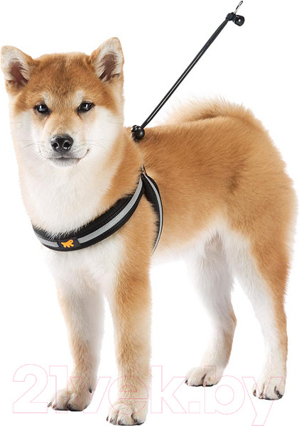 Изображение товара Шлея Ferplast Agila Reflex 4 / 76039417 (черный)