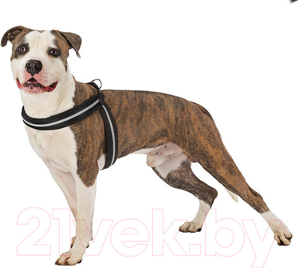 Изображение товара Шлея Ferplast Agila Reflex 6 / 76039639 (оранжевый)