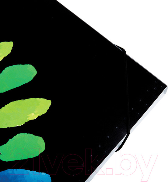 Изображение товара Папка для бумаг Berlingo Aqua / XF4_12011