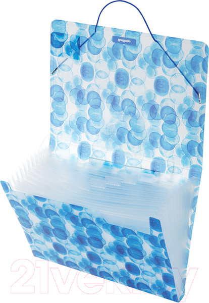 Изображение товара Папка для бумаг Berlingo Bubbles / XF4_12601