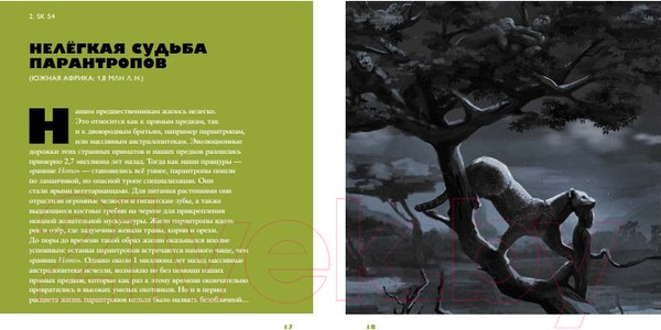 Изображение товара Книга Альпина Байки из грота: 50 историй (Дробышевский С.)