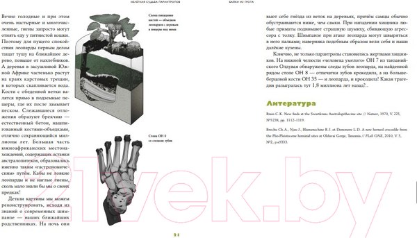 Изображение товара Книга Альпина Байки из грота: 50 историй (Дробышевский С.)