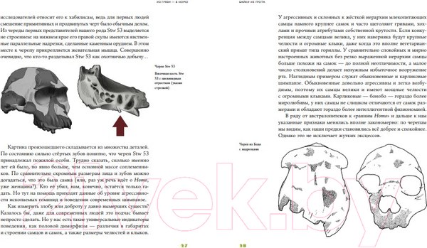 Изображение товара Книга Альпина Байки из грота: 50 историй (Дробышевский С.)