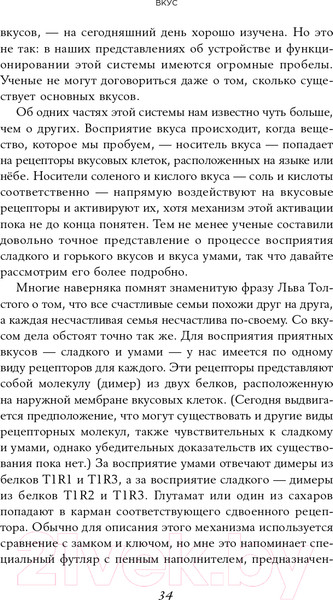 Изображение товара Книга Альпина Вкус. Наука о самом малоизученном человеческом чувстве (Холмс Б.)
